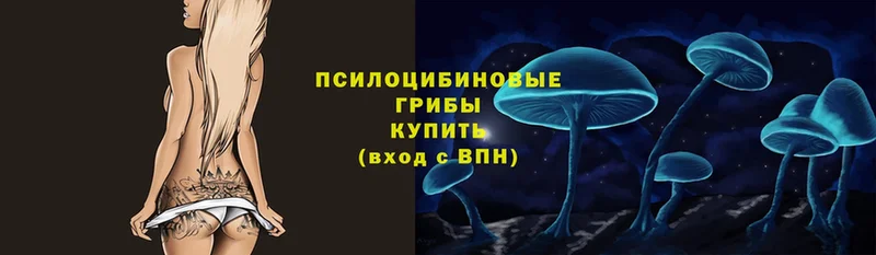 Псилоцибиновые грибы Psilocybine cubensis  Ветлуга 